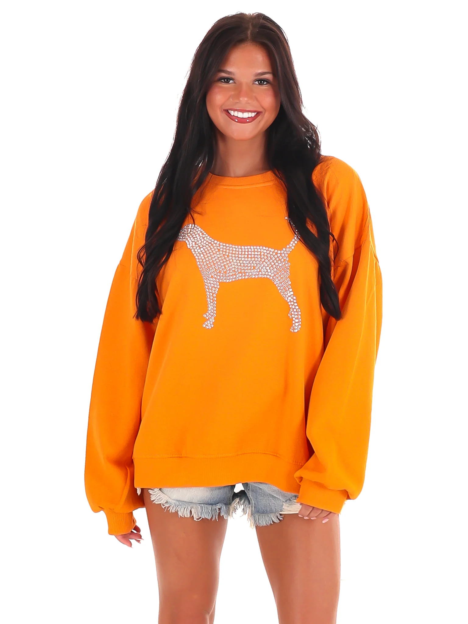 Rhinestone Hound Dog Sweatshirt - Image 3