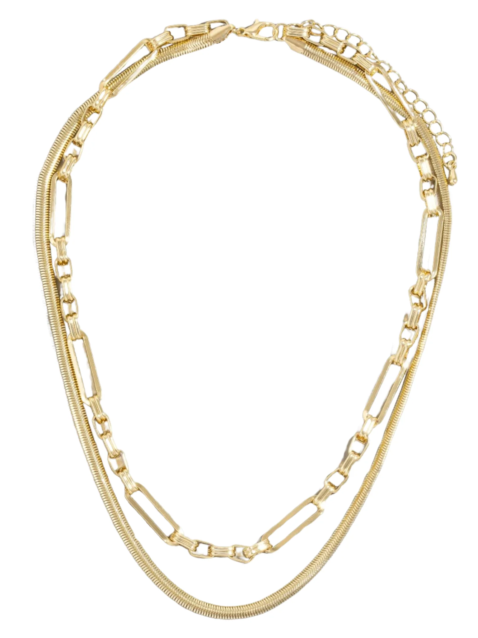 Snake And Oval Layered Chain Necklace