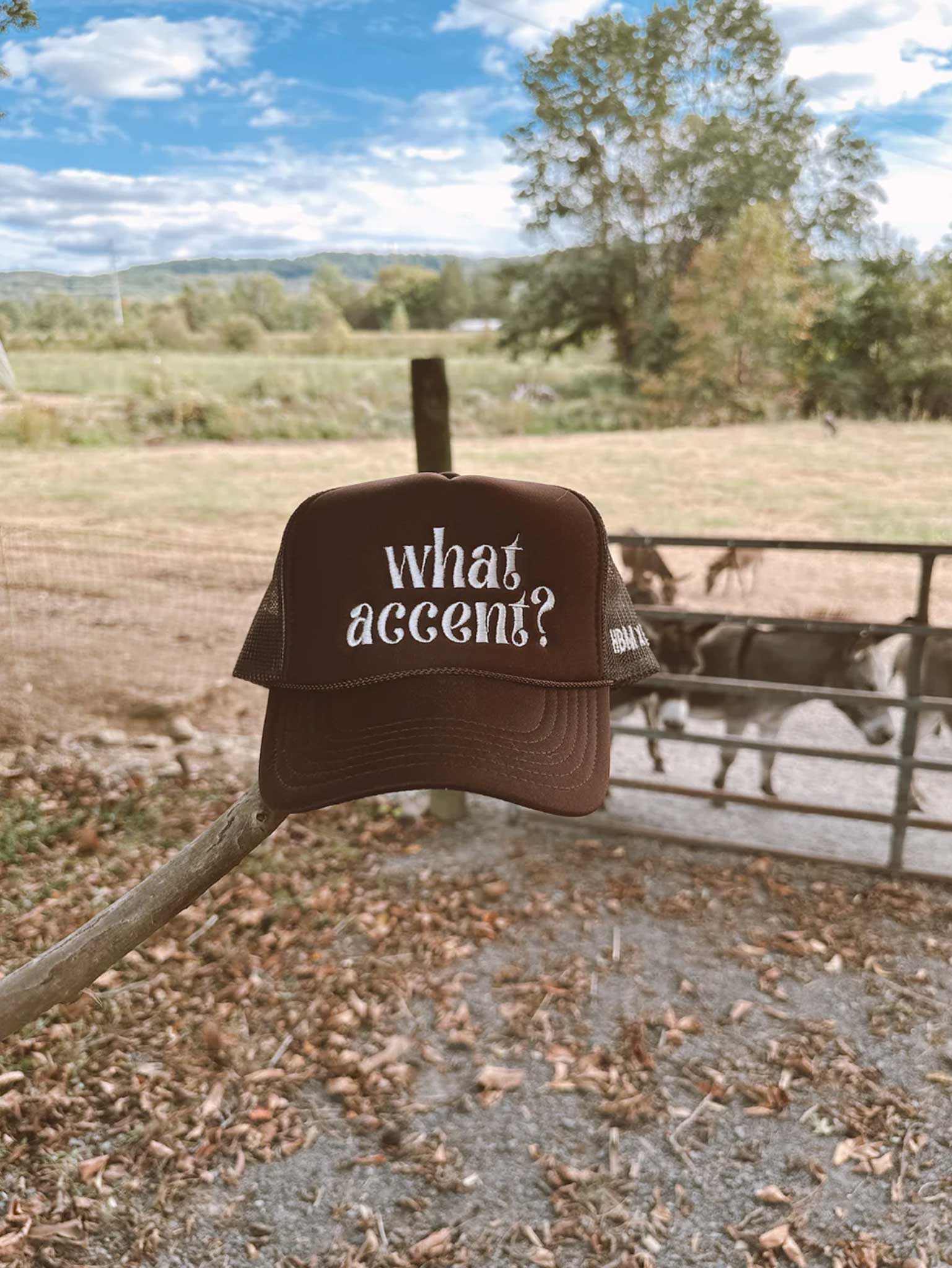 What Accent Hat - Image 2